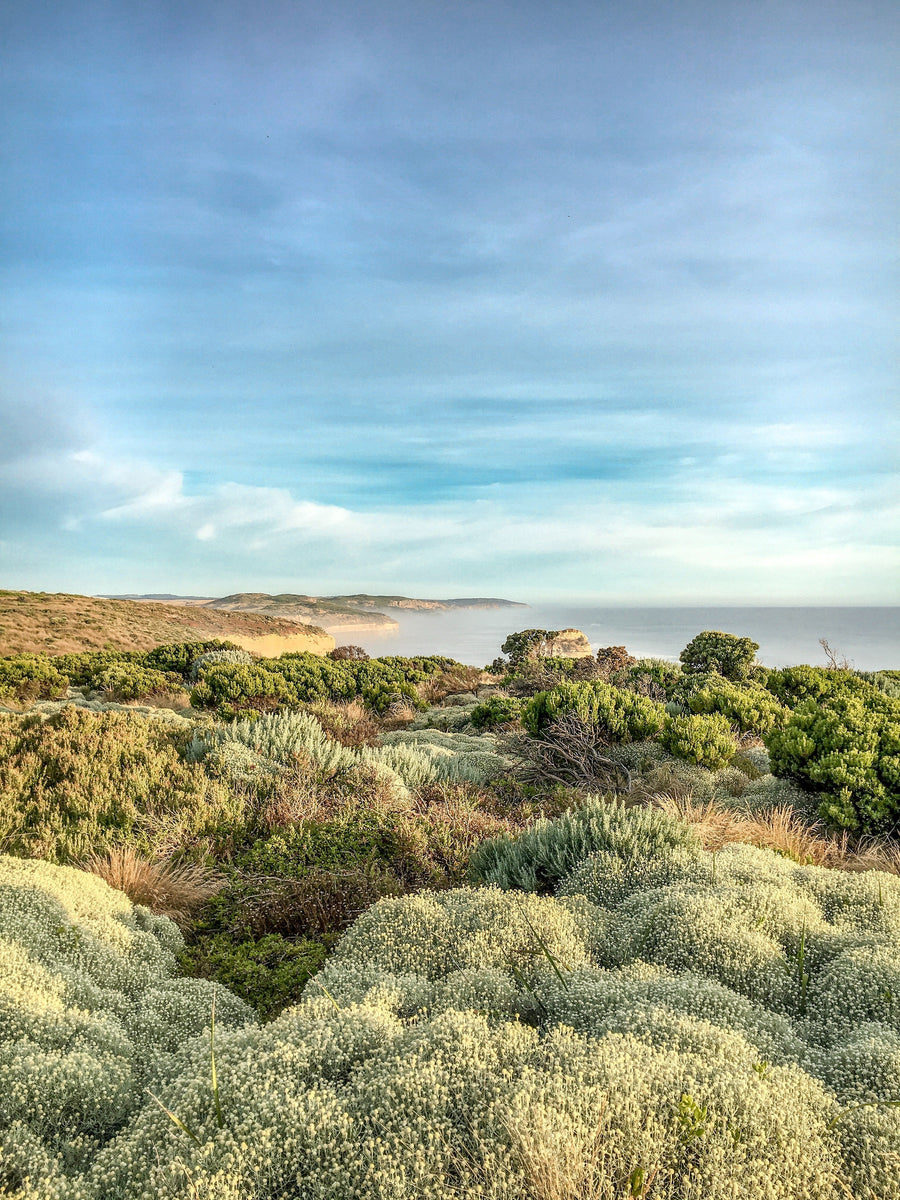 Things to do in the Surf Coast Victoria